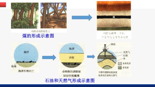 第七單元課題2燃料的合理利用與開發(fā)第1課時課件